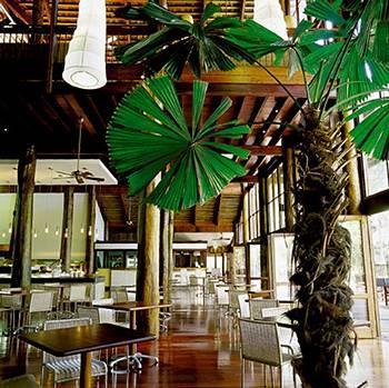 Cape Tribulation Resort & Spa Luaran gambar